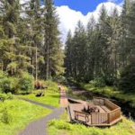Pairing UK Forest Walks