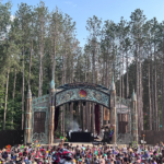 Top Forestry Festivals